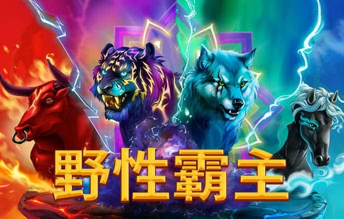 BoB体育平台手机下载